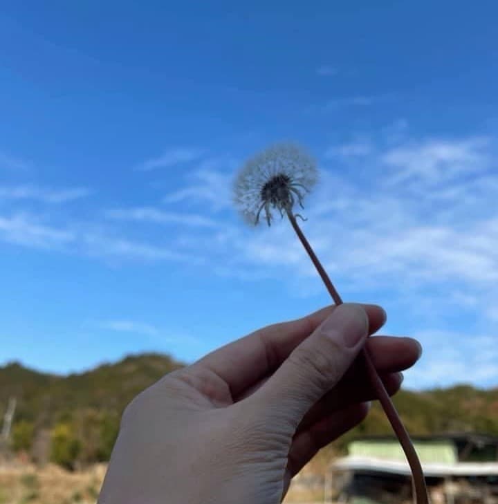 Rice cultivation and regional economy at Sasabase